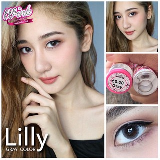 บิ๊กอายส์/คอนแทคเลนส์ Lilly gray รุ่นมินิพอดีตา