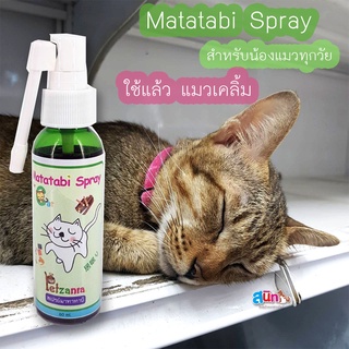 Matatabi Spray สเปรย์มาทาทาบิ Petzania สำหรับน้องแมวทุกวัย 60ml