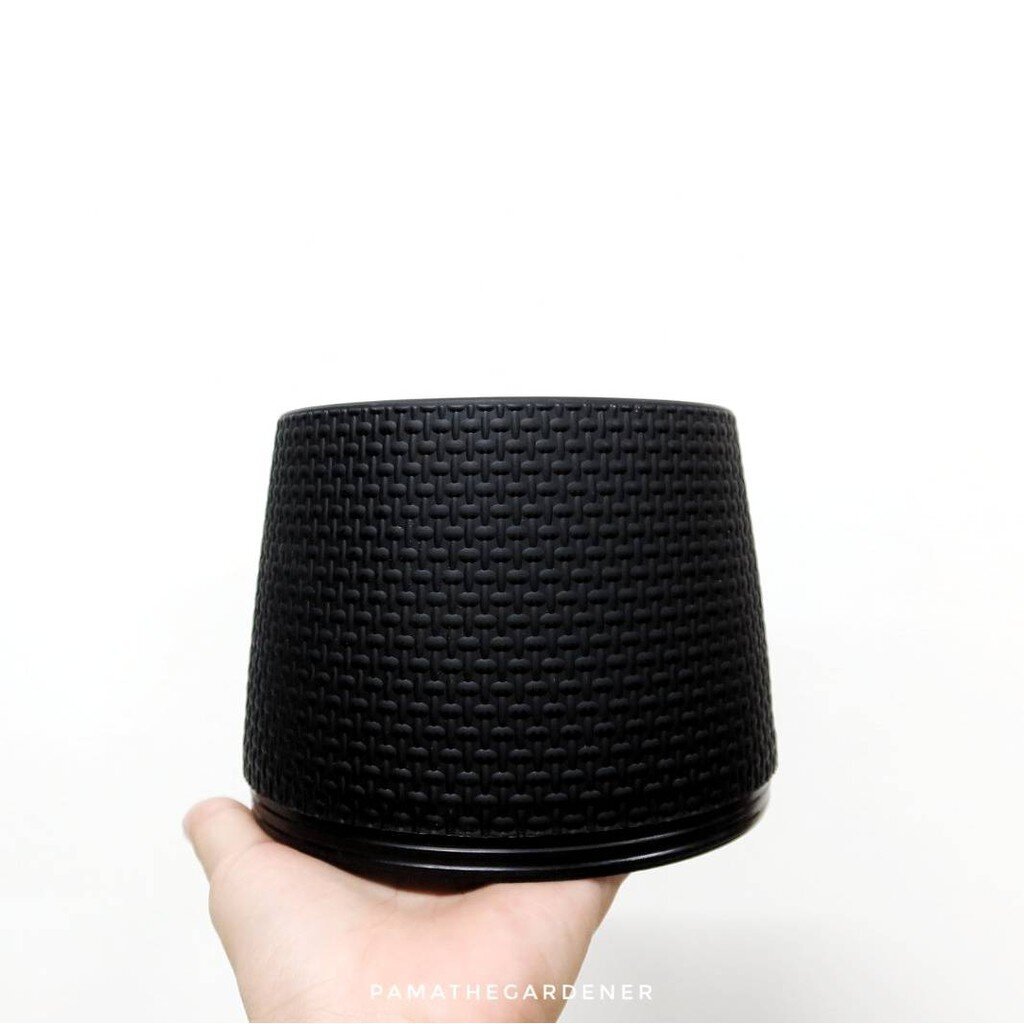 มุมมอง 8