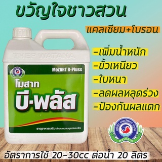 บี-พลัส 5 ลิตร แคลเซียมโบรอน ติดดอก ขั้วเหนียว เนื้อแน่น หวานกรอบ ผลไม่ฝ่อ ไม่ฟ้าว เทพวัฒนา