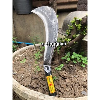 มีดเหรียนหัวนก มีดขอนก มีดปากนก มีดพร้า เหล็กแหนบหนา มี 3 ขนาด มีดอรัญญิกแท้ จ้อย อรัญญิกแท้