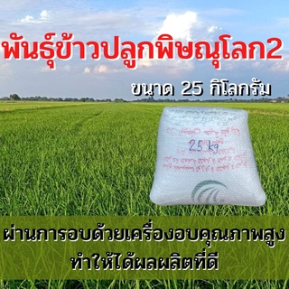 พันธุ์ข้าวปลูกพิษณุโลก2 เมล็ดพันธุ์ ข้าวปลูกพิษณุโลก2 เมล็ดพันธุ์ข้าว พันธุ์ข้าวพิษณุโลก2 ให้ผลผลิตดี (25 กิโล)