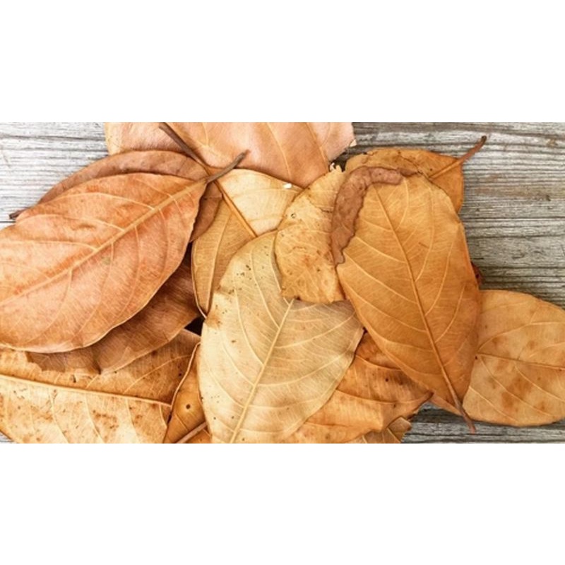 ใบขนุนแห้งออแกนิค25ใบ