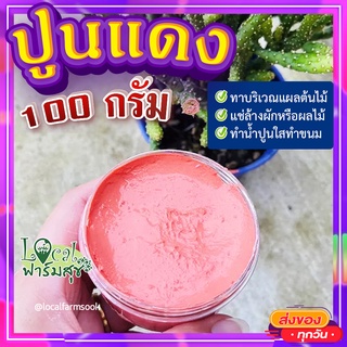 ปูนแดง (Red Lime) 🍂100 กรัม ปูนแดงทาแผลต้นไม้ ปูนแดงทาต้นไม้