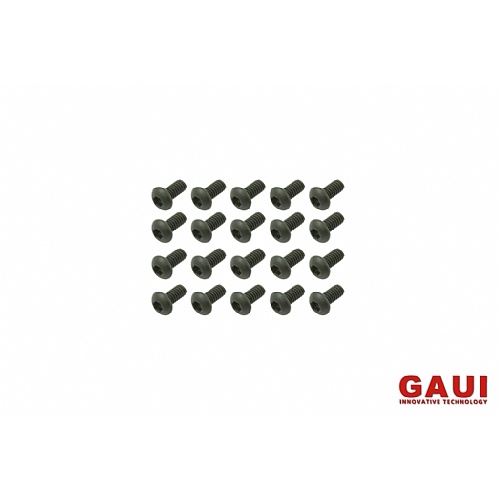 842004-Socket Head Button Screw – Black (M2x4)x20pcs