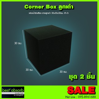 ฟองน้ำซับเสียง แบบลูกเต๋า (ชุด 2 ชิ้น)  Acoustic Foam อุปกรณ์ห้องอัด อุปกรณ์ห้องซ้อมดนตรี ฟองน้ำ ฟองน้ำอัดเสียง