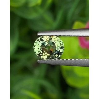 พลอย เขียวส่อง (ฺGreen Sapphire) 1.22 กะรัต (Cts.) พลอยแท้ อัญมณีมงคลประจําวันเกิด