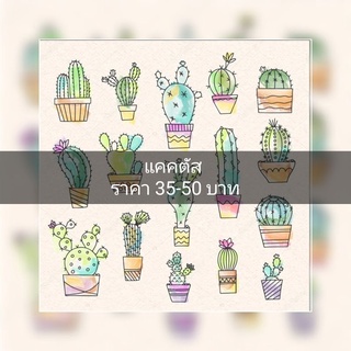 แคคตัสราคาเบาๆ 35-50บาท