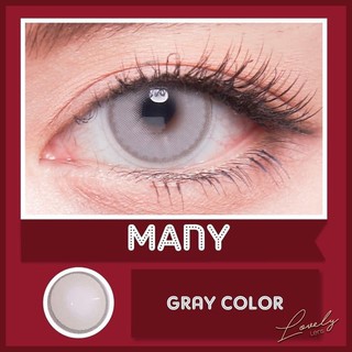 Many gray พร้อมส่งค่าสายตา (lovelyplus)