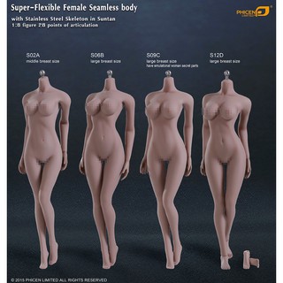 ฟิกเกอร์ โมเดล บอดี้ 1/6 ซิลิโคลน ของสะสม PHICEN Body Stainless (Suntan)