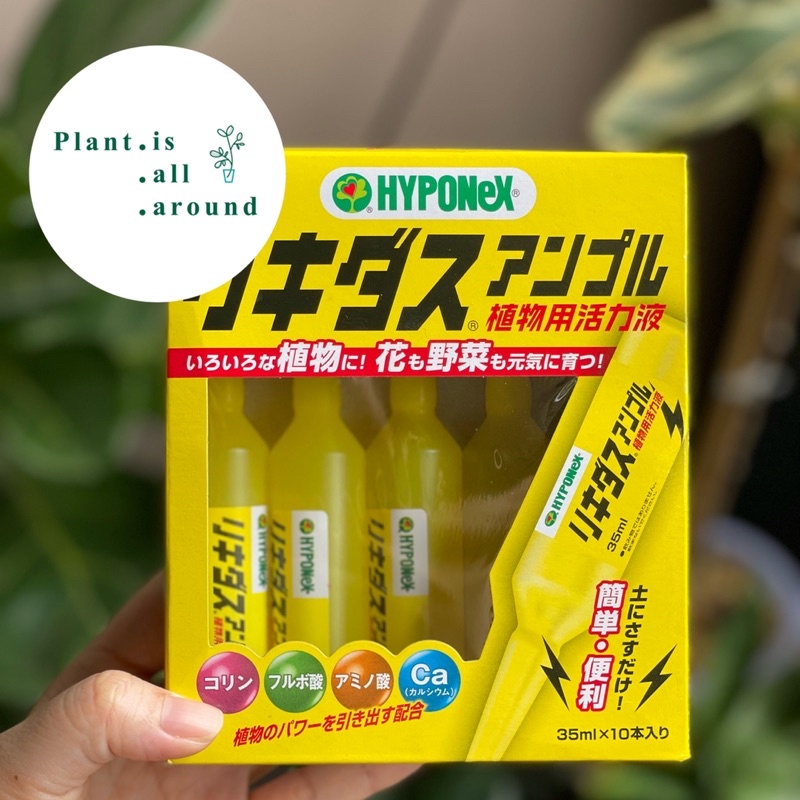 🍋ปุ๋ยปัก Hyponex Ampoule สีเหลือง
