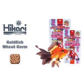 อาหารปลาทอง Hikari Goldfish Wheat-Germ