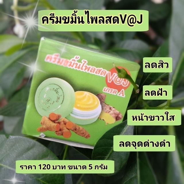 ครีมขมิ้นไพรสด V@J แท้ %