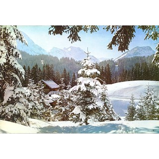 โปสเตอร์ รูปถ่าย ภูเขาหิมะ วิว ธรรมชาติ Landscapes Nature POSTER 20”x26” Inch High Mountain Range Snow Pine Forest