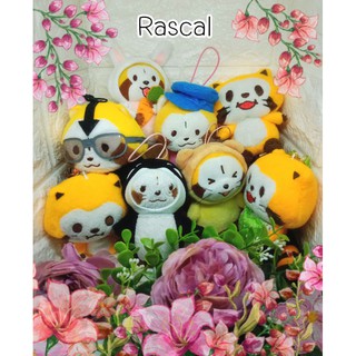 💮Rascal💮 ตุ๊กตาห้อยกระเป๋า พวงกุญแจราสคาล แรคคูน ราสคัล