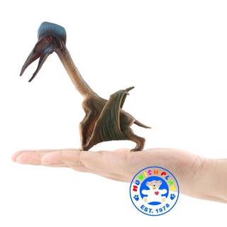 Munich Play - ไดโนเสาร์ Hatzegopteryx หงอนฟ้า ขนาด 14.00 CM (จากหาดใหญ่)