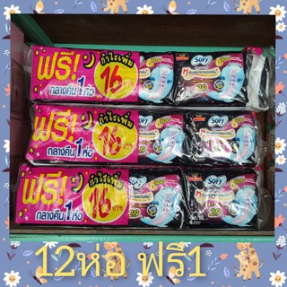 โซฟี กลางคืนยาว 29ซม.ยกโหล แถม1ห่อเล็ก‼️