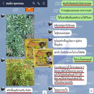 โมซ่าส์ MOZA ปุ๋ยโมซ่าส์ โมซ่า ปุ๋ยฮอร์โมน กรดอะมิโนสูง โมซ่าส์ฮอร์โมนพืช ชไร่ พืชสวน ข้าว บำรุงใบ บำรุงราก ลำต้น