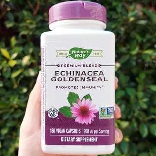 เอ็กไคนาเซีย โกลเด้นซีล Echinacea Goldenseal 900 mg 180 Vegan Capsules (Natures Way®) เสริมภูมิต้านทาน