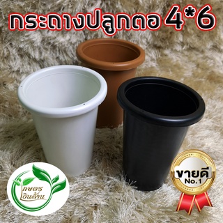 [แตกแคลมทันที]เกษตรเงินล้าน กระถางทรงสูง 4*6 นิ้ว อย่างหนา ท…