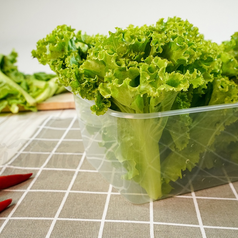 กล่องใส่อาหาร 1750ml ( ลัง 150 ใบพร้อมฝา ) F กล่องใส ช่องเดียว กล่องพลาสติกใส - รูปที่ 3