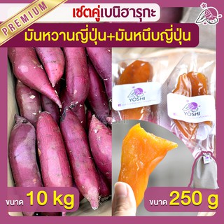 แพ็คคู่ถูกกว่า มันหวานญี่ปุ่น เบนิฮารุกะ 10kg + มันหนึบ 250g  มันหวานญี่ปุ่นนำเข้า มันหวานญี่ปุ่นเบนนิฮารุกะ มันหนึบ