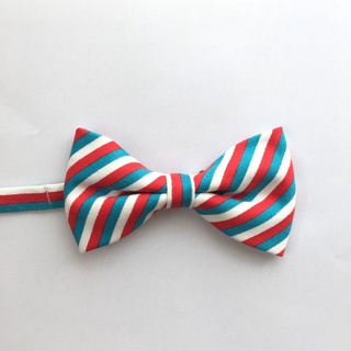 หูกระต่ายผู้ใหญ่ Bowtie Candy Cane