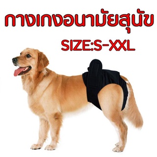 กางเกงอนามัยสุนัข Dog Diaper ผ้าอ้อมสุนัข ผ้าอ้อมหมา กางเกงอนามัยสุนัขพันธุ์เล็ก กางเกงอนามัยสุนัข size ใหญ่