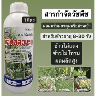 ควินคลอแรก 25% sc สารกำจัดวัชพืช ในนาข้าว กำจัด หญ้าข้าวนก ลิเก กระดูกไก่ หญ้าแดงหญ้าพุ่มพวง ข้าวไม่โทรม ข้าวไม่แดง