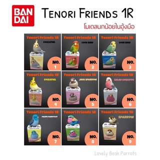 ตุ๊กตาโมเดลนก ตุ๊กตานก Tenori Friends โมเดลนกน้อยในอุ้งมือ ตุ๊กตานกน้อยน่ารัก