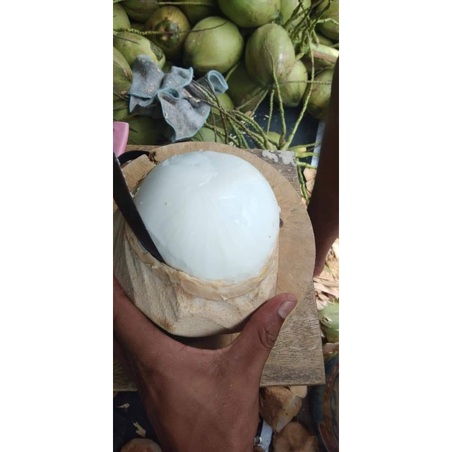 มีดเขาควาย คว้านมะพร้าว สร้างอาขีพ ชุดพิเศษ 3 เล่มด้ามกลม - รูปที่ 3