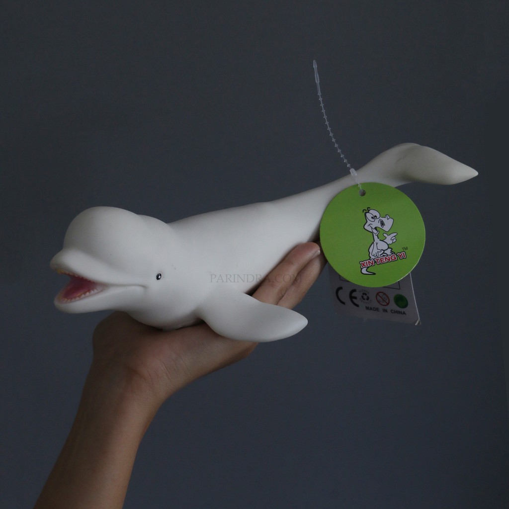 รวมกัน 94+ ภาพ ปลาวาฬเบลูก้า สวยมาก