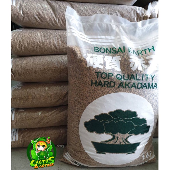 ดินญี่ปุ่น(สามแถบ) Hard Akadama300°❌(บรรจุถุง1kg.)❌ ขนาดSS/S/M