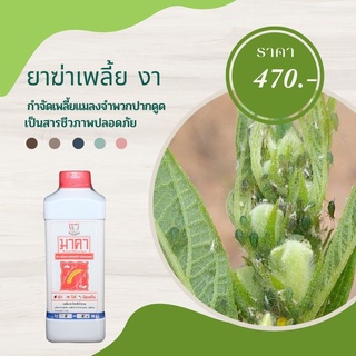 ยาฆ่าเพลี้ย งา ปลอดสารพิษ มาคาและ FK-T(ใช้ได้ทุกพืช)โดย FK