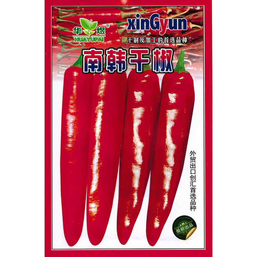 เมล็ดพริกแดงจีนYidu พริกแดงเกาหลี พริกชิชิโตะ 100 / 500+เมล็ด  สายพันธุ์ OP