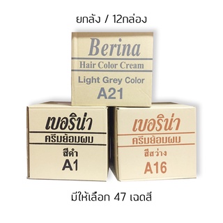 (ขายยกโหล12กล่อง) A21-A39 Berina Hair Color เบอรีน่าสีย้อมผม สีผมเบอริน่า 47เฉดสี ครีมเปลี่ยนสีผม Berina