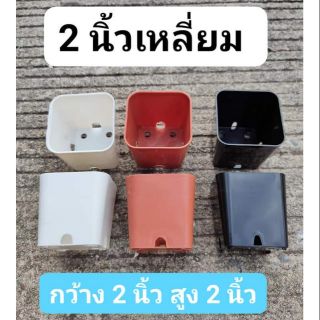 🔥กระถางพลาสติก กระถางแคคตัส กระบองเพชร 2 นิ้ว เหลี่ยม🔴สั่งขั้นต่ำ 10 ใบ