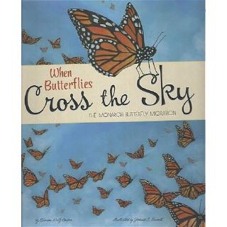 DKTODAY หนังสือ WHEN BUTTERFLIES CROSS THE SKY HB