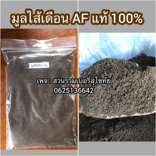 มูลไส้เดือนแท้100% พร้อมส่ง พันธุ์ AF ประมาน 1 กิโลกรัม