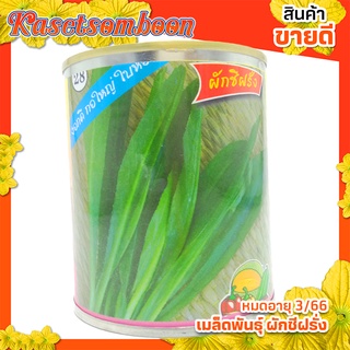 เมล็ดผักชีฝรั่ง เมล็ดพันธุ์ 20 ก. ตราต้นไผ่