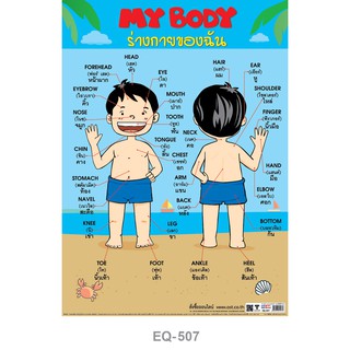 โปสเตอร์กระดาษ My Body #EQ-507