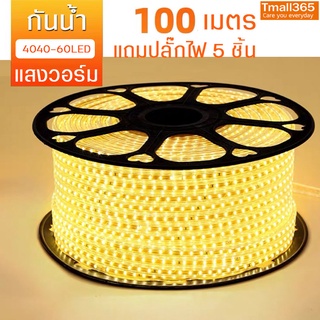 แถบไฟ 220V กันน้ำและกันแดด แถบไฟled พร้อมปลั๊ก โคมไฟเชือกยืดหยุ่น60Leds/M ความสว่างสูง อบอุ่นสีขาว/สีขาว 100เมตร ทนทาน