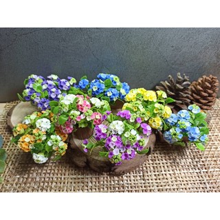 ดอกไฮเดรนเยีย ดอกไฮเดรนเยียดินปั้นจิ๋ว #Hydrangea #ดอกไม้จิ๋ว