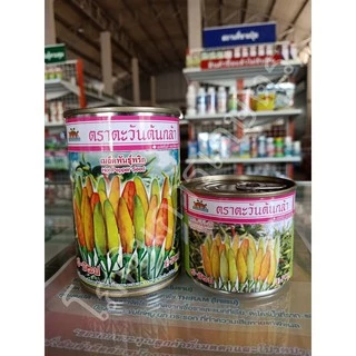 เมล็ดพันธุ์พริกกะเหรี่ยงคัดพิเศษ อีป็อป (ตะวันต้นกล้า) ขนาด 20-50 กรัม