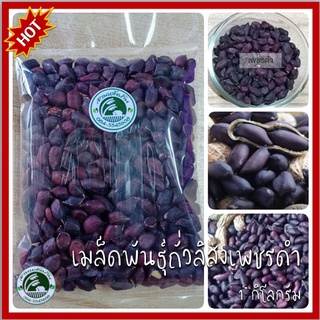 1 กก. เมล็ดพันธุ์ถั่วลิสงเพชรดำ ถั่วลิสงเพชรดำ ถั่วลิสงดำ (black peanuts) ถั่วลิสง ถั่วเพชรดำ เมล็ดถั่วลิสงเพชรดำ