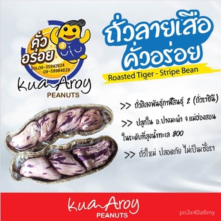 ถั่วลิสงลายเสือ เพื่อสุขภาพ 500g หอม อร่อย คั่วใหม่ๆ AUvC