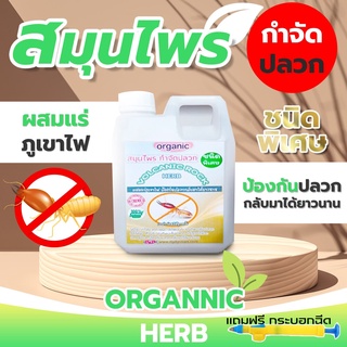 กำจัดปลวก ผสมได้ 5 เท่า ผสมผงแร่ ป้องกันปลวกกลับมาได้ยาวนานที่สุด สมุนไพรเข้มข้น+ฟรีกระบอกฉีดแรงดัน ปรับหัวฉีดได้