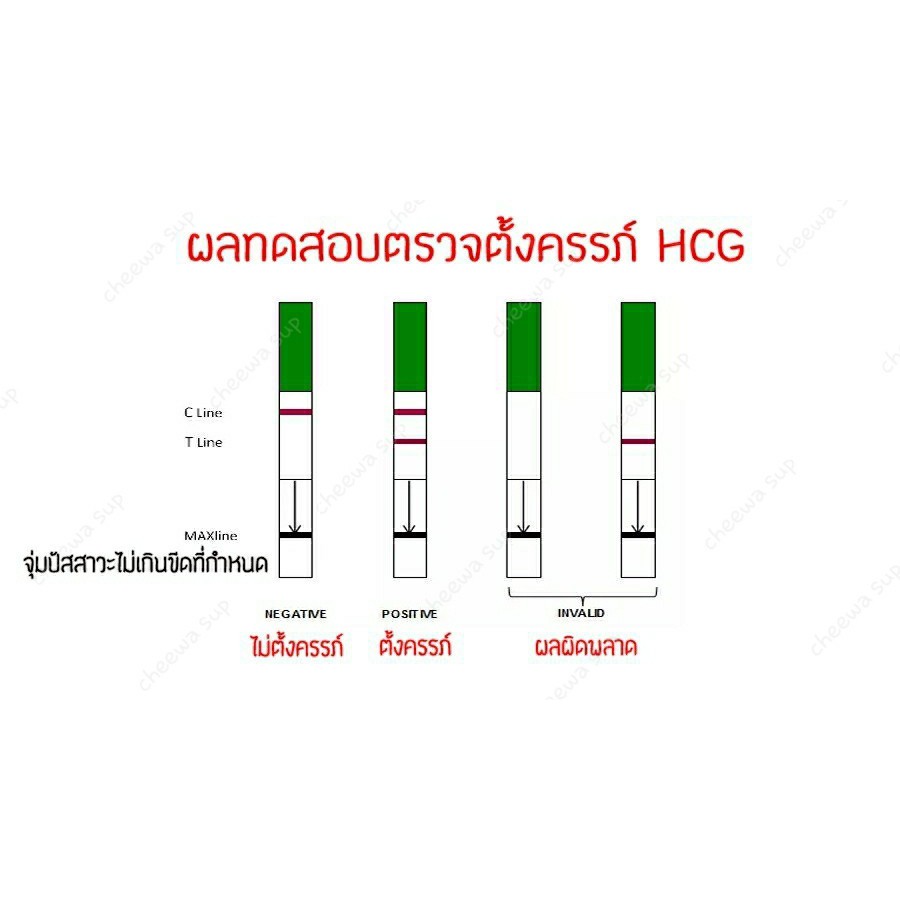 à¸žà¸£ à¸­à¸¡à¸ª à¸‡ à¸ˆ à¸¡ 5 à¸Š à¸™ à¸— à¸•à¸£à¸§à¸ˆà¸„à¸£à¸£à¸  à¸— à¸•à¸£à¸§à¸ˆà¸— à¸­à¸‡ à¸— à¸•à¸£à¸§à¸ˆà¸• à¸‡à¸„à¸£à¸£à¸  à¸•à¸£à¸§à¸ˆà¸®à¸­à¸£ à¹‚à¸¡à¸™ Hcg à¹„à¸¡ à¸£à¸°à¸š à¸Š à¸­à¸ª à¸™à¸„ à¸²à¸šà¸™à¸à¸¥ à¸­à¸‡ 25