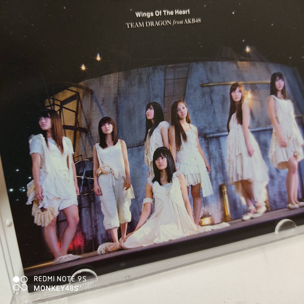 Akb48 Team Dragon チームドラゴン Akb48 One Shot Unit Shopee Thailand