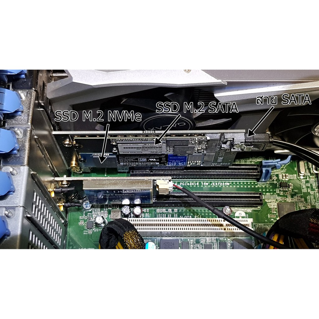 SSD M2 NVMe และ M2 SATA to PCi การ์ดแปลง ใส่ M2 ได้ 2 ตัว ใส่ในช่อง PCI Express เร็วแรง 40GB per Sec - รูปที่ 4